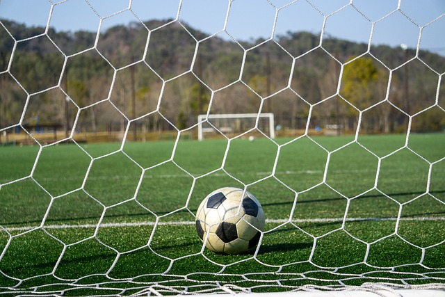 网络舆论的 网络舆论的